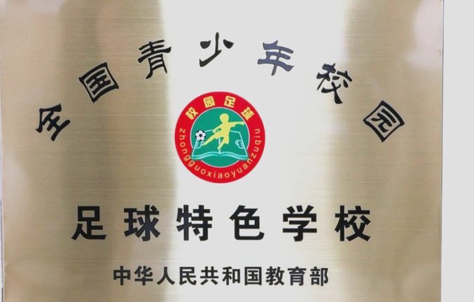 足球特色校数量够用，但校园足球闭环尚未完成
