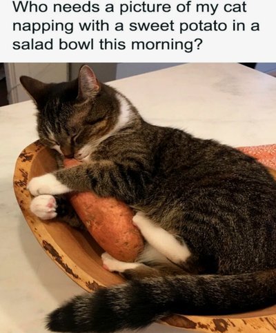 云南玉昆中卫李松益加盟上海申花