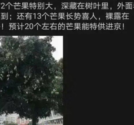 成绩不佳也是成长的一部分，请勿冷言相向