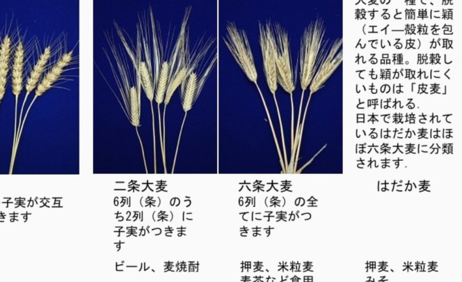 麦麦提江现场解释VAR判罚：普通话带点羊肉串味