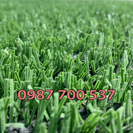 董路成功破圈，收获众多中老年粉丝的热情拥抱与赞美